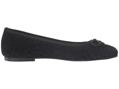 French Sole Nicky Hilton- Paris In Multi