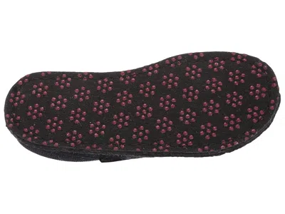 Haflinger Gallina In Blue