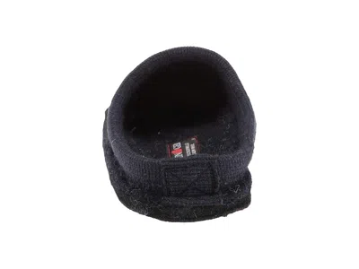 Haflinger Gallina In Blue