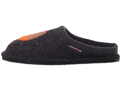 Haflinger Gallina In Blue