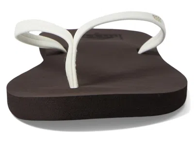 Reef Bliss Nights In Multi