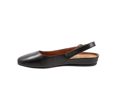 Softwalk Sandy In Black