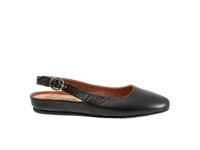 Softwalk Sandy In Black