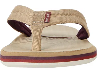 Hari Mari Dunes In Brown