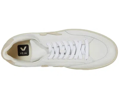 Veja V-12