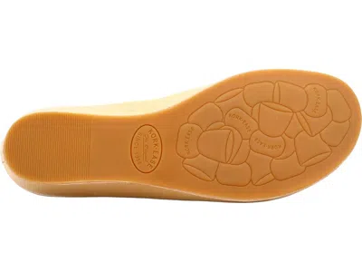 Kork-ease Para In Multi