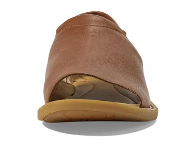 Born Cove Modern In Brown