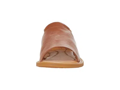 Born Cove Modern In Brown