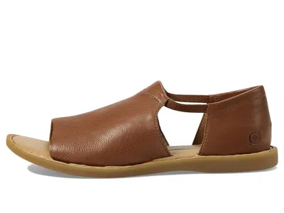 Born Cove Modern In Brown