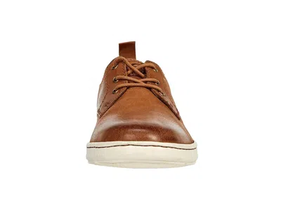 Born Marcus In Brown