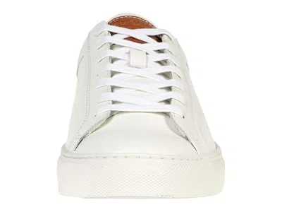Steve Madden Tucker Sneaker In White