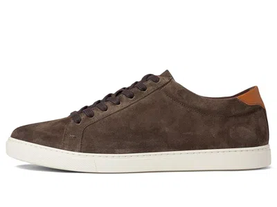 Allen Edmonds Courtside In Multi