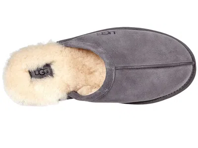 Ugg Scuff In Gray
