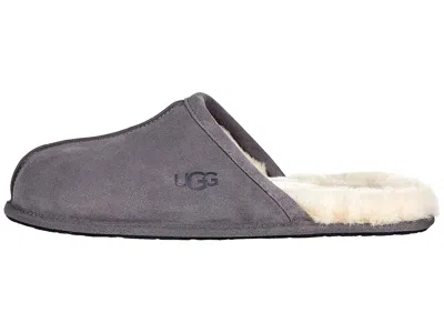 Ugg Scuff In Gray