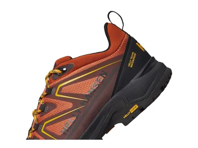 Helly Hansen Cascade Low Ht In Brown