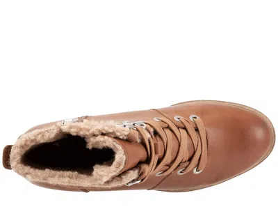 Softwalk Wilcox In Brown