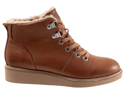 Softwalk Wilcox In Brown