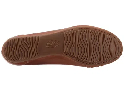 Softwalk Safi In Brown