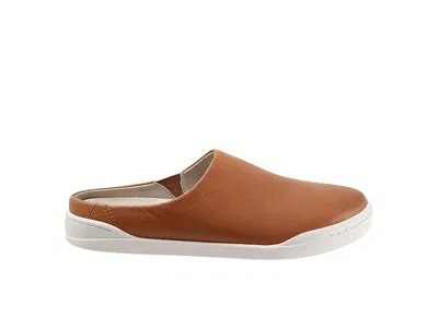 Softwalk Auburn In Brown