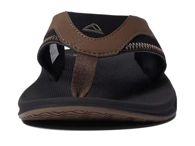 Reef Fanning In Multi