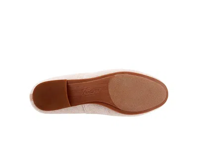 Trotters Glory In Neutral
