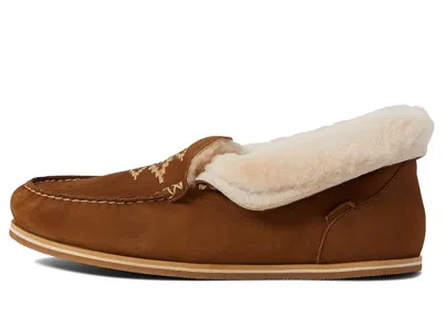 Hari Mari Alta In Brown