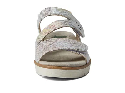 Spring Step Haydennie In Gray