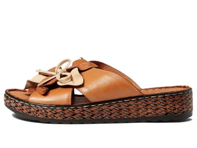 Spring Step Hilary In Brown