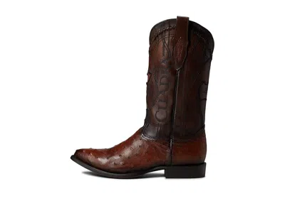 Cuadra Cu303 In Brown