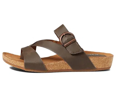 Eurosoft Gladis In Multi