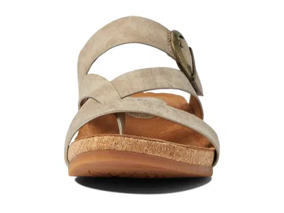 Eurosoft Gladis In Multi