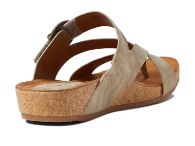 Eurosoft Gladis In Multi