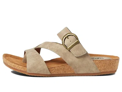 Eurosoft Gladis In Multi