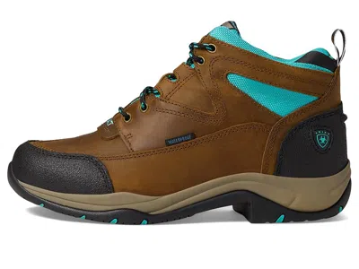 Ariat Terrain Waterproof Boots In Brown