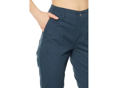 Toad And Co Earthworks Slim Pants In Blue