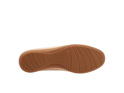 Trotters Dixie In Neutral