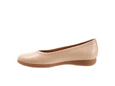 Trotters Dixie In Neutral