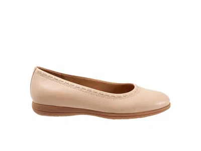 Trotters Dixie In Neutral