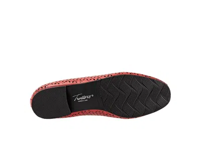 Trotters Ginger In Multi