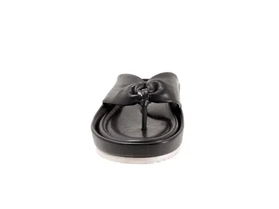 Softwalk Eliza In Black