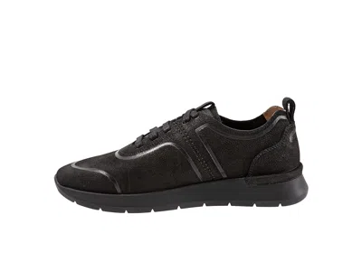 Softwalk Stella In Black