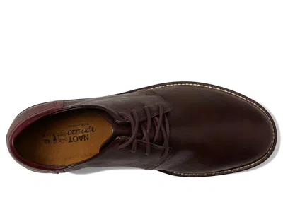 Naot Chief In Brown