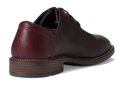 Naot Chief In Brown