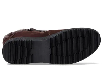 Spring Step Republic In Brown