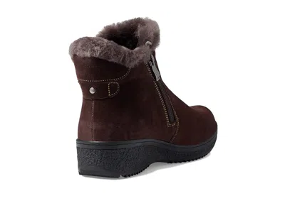 Spring Step Republic In Brown