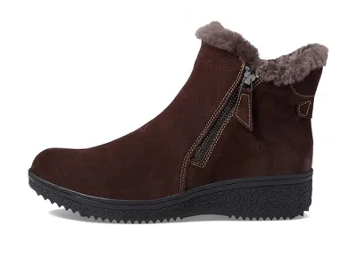 Spring Step Republic In Brown