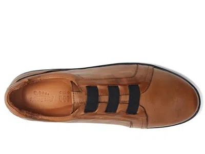 Spring Step Pinna In Brown