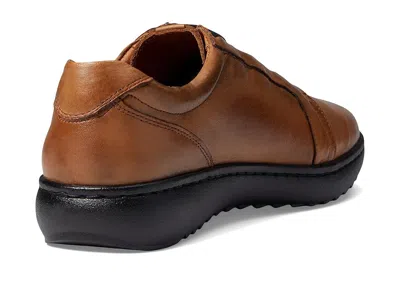 Spring Step Pinna In Brown