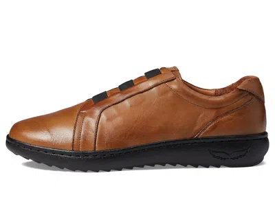 Spring Step Pinna In Brown