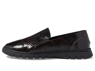 Spring Step Horizon In Black
